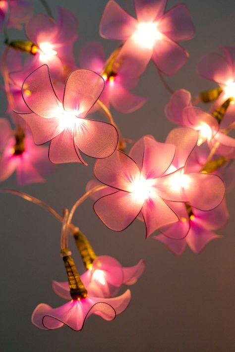 Dorm Lights, Dorm Lighting, Purple String Lights, Flower Fairy Lights, Patio Wedding, Lantern String Lights, Bedroom Light, Lights Home, Cute Bedroom Decor