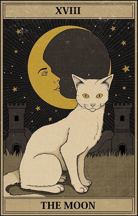 Botanisk Illustration, Collage Des Photos, Vintage Tarot, Collage Mural, Cat Vintage, رعب نفسي, 카드 디자인, Tarot Cards Art, Art Carte