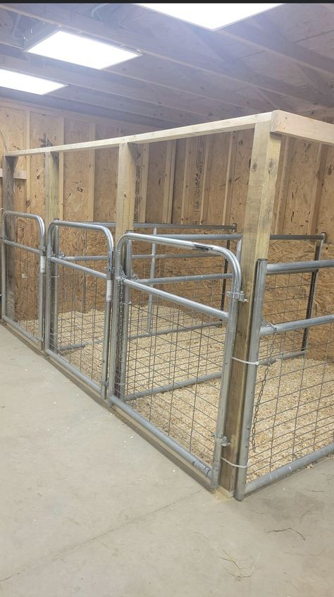 Animal Kennel Ideas, Pig Pens Ideas Shelters, Animal Sheds Ideas, Chicken Coop And Pig Pen, Meat Pig Pen Ideas, Lamb House Ideas, Cattle Shed Ideas, Lamb Stall Ideas, Goat Pen Layout