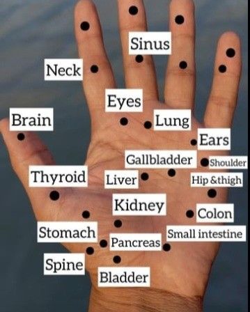 Hand Acupressure Points, Accupunture Points Acupuncture, Acupressure Points In Hand, Reflexology Hand, Hand Pressure Points, Healing Reflexology, Reflexology Points, Acupressure Point, Pressure Point Therapy