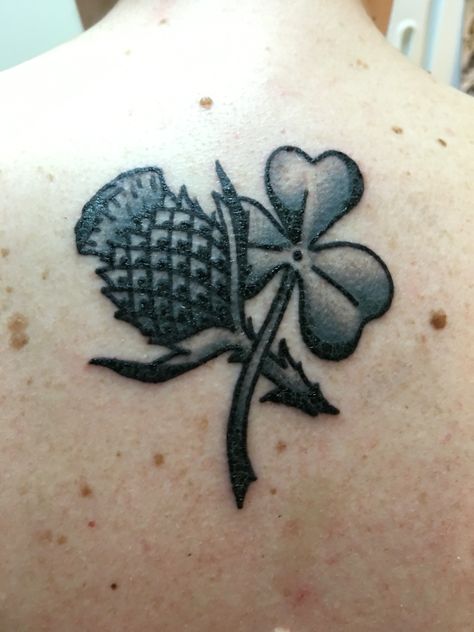 My thistle & shamrock tattoo to celebrate my Scots-Irish heritage. Scots Irish Tattoo, Shamrock And Thistle Tattoo, Irish Clover Tattoo, Thistle Tattoos, Irish Shamrock Tattoo, Scottish Thistle Tattoo, Ulster Scots, Irish Tattoo, Shamrock Tattoo