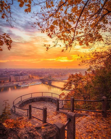 Autumn Scenes, Cat Air, Autumn Scenery, Autumn Beauty, Budapest Hungary, Fall Wallpaper, Budapest, Hungary, Autumn Leaves