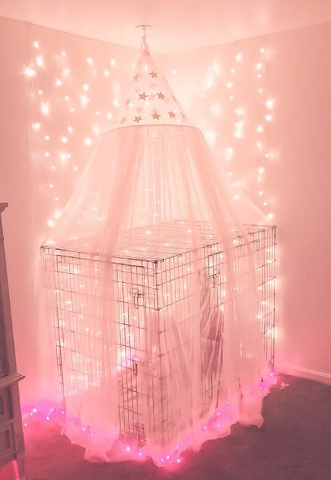 Age Re Room, Spoiled Dog Aesthetic, Petspace Aesthetic, Little Spaces Room, Babyspace Aesthetic, Puppy Play Aesthetic, Pup Play Aesthetic, Puppycore Aesthetic, Age Reggresion Room