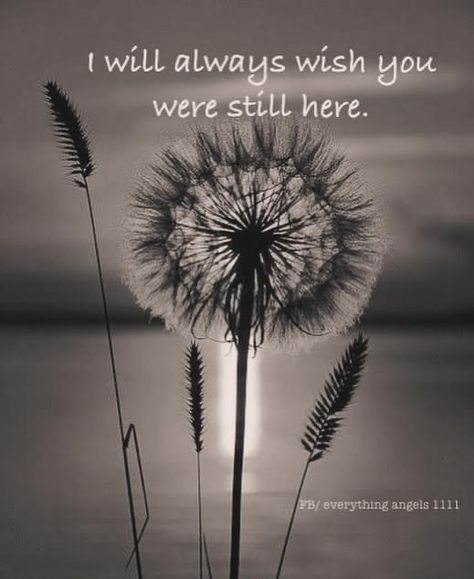 Heaven Birthday, Dandelion Pictures, Miss You Mum, Remembrance Quotes, Miss You Mom Quotes, Missing You Brother, Crochet Quote, In Loving Memory Quotes, I Miss My Mom