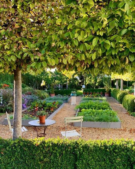 Terry Winters on Instagram: "Sunday morning starts in the veg patch." Terry Winters, Vegetable Patch, Veg Patch, Morning Start, Food Garden, Sunday Morning, Stepping Stones, Outdoor Decor, Plants