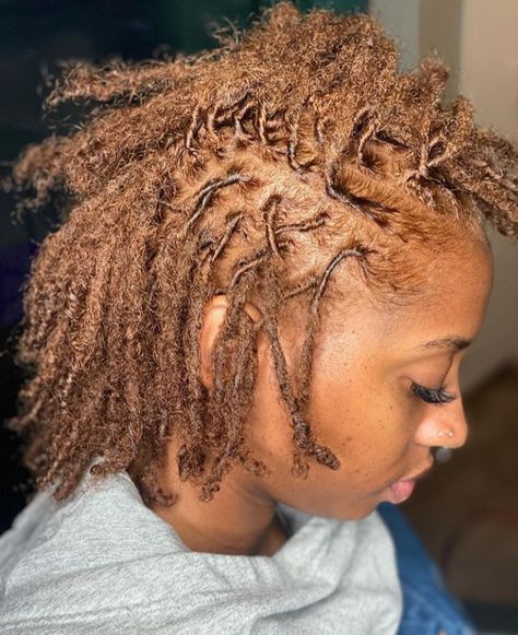 Honey Blonde Starter Locs Black Women, Honey Locs Black Women, Fall Hair Colors For Black Women Locs, Brown Starter Locs, Brown Colored Locs, Ginger Colored Locs Black Women, Strawberry Blonde Locs, Locs Hair Color Ideas, Golden Brown Locs