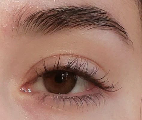 Eyelash Claims For Dr, Eye Claim, 18th Century Landscape, Brown Eyes Aesthetic, Bentuk Alis, Pretty Brown Eyes, Glossy Eyes, Eye Pictures, Photos Of Eyes