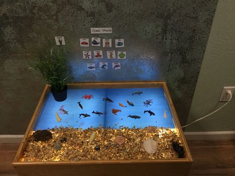 Light Box Ideas Eyfs, Animal Habitats Preschool, Light Box Activities, Reggio Inspired Classrooms, Reggio Classroom, Sensory Lights, Baby Play Activities, Classroom Layout, Sensory Boxes