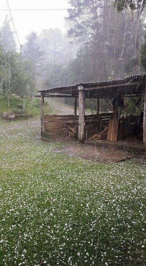 Granizo en Coban.  Ice bundles in rain. Ice Rain, Coban, Wallpaper Designs, Coming Home, Bundles, Water, Quick Saves