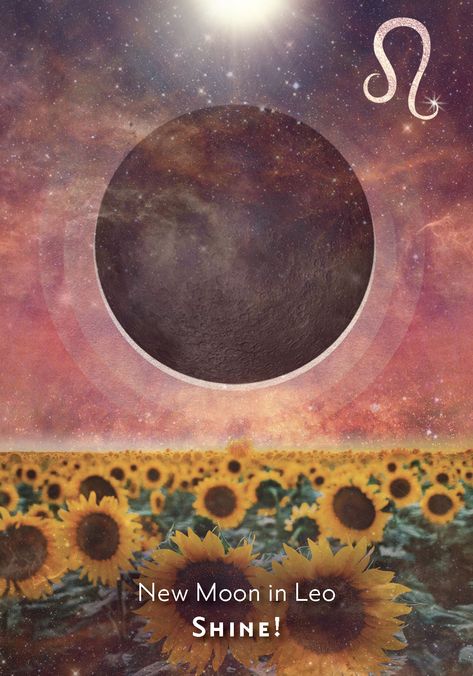 New Moon in Leo - Yasmin Boland New Moon In Leo, New Moon Full Moon, Leo Moon, New Moon Phase, Moon In Leo, Angel Oracle Cards, Divine Feminine Spirituality, Health And Wellness Coach, Tarot Cards Art