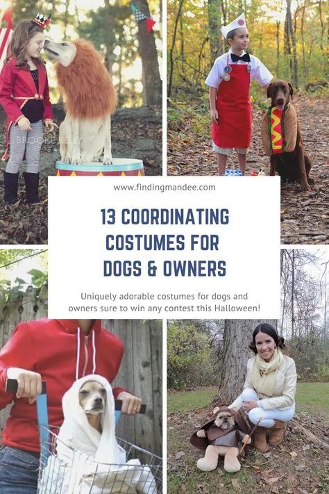 Dog Costumes For White Dogs, Dog Circus Costume, Funny Dog Costumes With Owner, Puppy And Me Halloween Costumes, Cockapoo Halloween Costumes, Halloween Costume For Dogs And Owners, Lion Dog Costume With Owner, Golden Retriever Costume Ideas, Dog Fashion Show Ideas