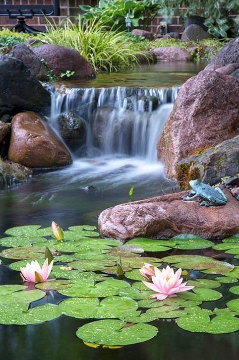 undefined Pond Paintings, Backyard Waterfall, Grass Weeds, Things To Paint, Water Gardens Pond, Koi Ponds, Pond Landscaping, Backyard Water Feature, Natural Pond