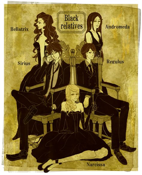 The Black Family. Marauder's Era.  The Black Family interests me for some reason, I don't know why. House Of Black Harry Potter, Evil Harry Potter, Fanart Harry Potter, Meme Harry Potter, Stile Harry Potter, Tapeta Harry Potter, Desenhos Harry Potter, Theme Harry Potter, Harry Potter Images