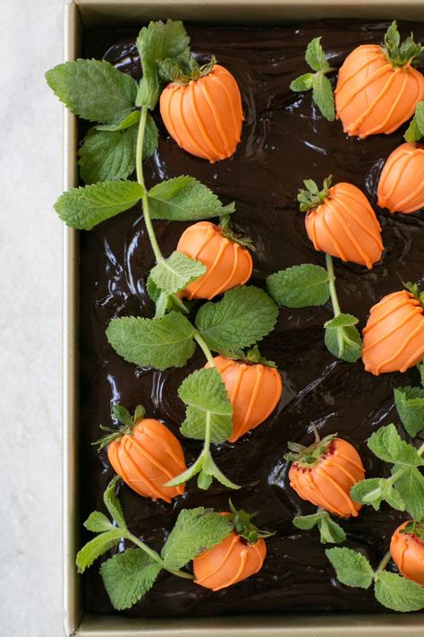 Turn your chocolate cake into a "pumpkin patch" with a chocolate ganache frosting, dipped strawberries, and basil. #californiastrawberries #halloween #halloweendesserts #strawberrydesserts #pumpkinpatchcake #pumpkindesserts #halloweenrecipes #diy #baking #holidaydesserts Pumpkin Patch Cake, Postres Halloween, Recetas Halloween, Chocolate Ganache Frosting, Cake With Strawberry, Chocolate Pumpkin, Halloween Food Treats, Halloween Baking, Strawberry Dip