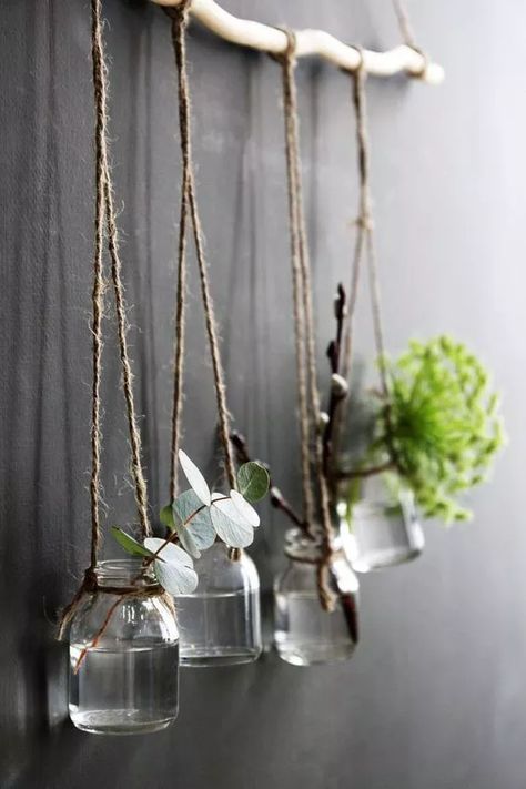 Takken Decor, Pot Gantung, Tree Branch Decor, Deco Nature, Creation Deco, Branch Decor, Décor Boho, Elegant Furniture, Diy Vase