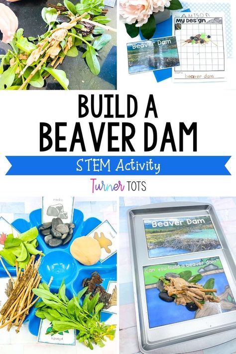 Habitat Stem Activities, Wetlands Preschool Activities, Pond Stem Activities, Stem Animals Activities, River Theme Preschool Activities, Beaver Dam Craft, Pond Life Kindergarten Activities, Lake Animals Preschool, Animal Habitats Preschool Activities