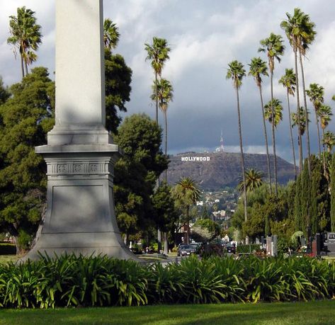 About Hollywood Forever | Cemetery and Cultural Event Center Chandelier Tree, Bicycle Cafe, Wayfarers Chapel, Hollywood Forever Cemetery, Paramount Studios, Events Center, Folding Chairs, La Girl, Cultural Events