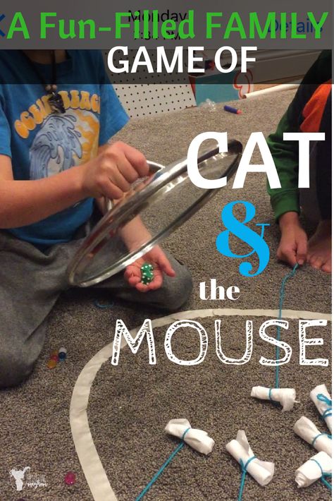 Hilarious game of Cat and the Mouse! Great game to play with your kids of ALL AGES!! Cat Games For Kids, Fun Games For Teenagers, Fun Games For Adults, Online Party Games, Desk Kids, Fun Games To Play, Cat Themed Birthday Party, Games To Play With Kids, Game To Play