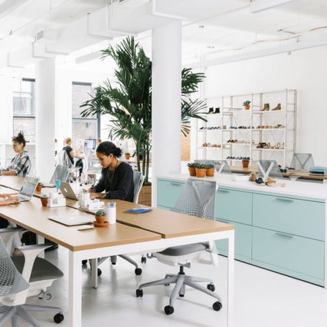 Startup Office Space, Startup Office Design, Cheap Office Furniture, Startup Office, Design Studio Workspace, Cool Office Space, Modern Office Interiors, Best Office Chair, Office Space Design