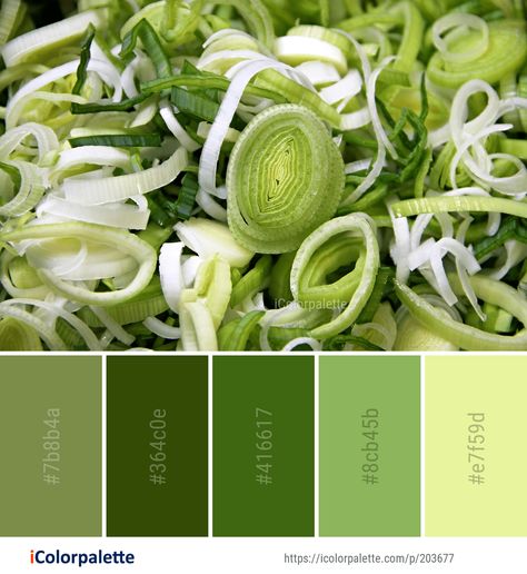 Color Palette ideas #icolorpalette #colors #inspiration #graphics #design #inspiration #beautiful #colorpalette #palettes #idea #color #colorful #colorscheme #colorinspiration #colorcombinations #colorcombos Healthy Food Color Palette, Healthy Color Palette, Interior Trees, Food Colors Palette, Stitch Palettes, Website Colors, Painting Corner, Healthy Brands, Palette Challenge