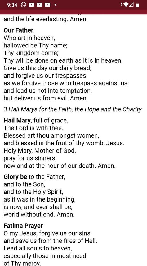 How To Do The Rosary, Hail Mary Prayer Catholic, Catholic Mass Prayers, Rosary Prayer Guide, Praying Rosary, Church Prayers, Rosary Prayers, Catholic Bible Verses, Prayers Catholic