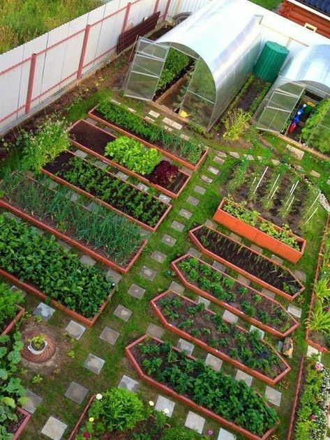 Gardening ideas Gardening Wedding, Designer Garden, Planning Garden, Planters Garden, نباتات منزلية, Gardening Landscaping, Vegetable Garden Planning, Gardening Design, Vegetable Garden Diy