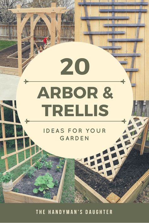 Looking for arbor or trellis ideas for your garden? Here are 20 amazing options to give your climbing vines the support they need to grow and thrive. These easy DIY trellis and arbor projects can have your garden looking amazing in no time! #trellis #arbor #garden #gardening #vines via @handymansdaught Grape Vine Trellis, Diy Arbour, Vine Trellis, Wood Trellis, Arbors Trellis, Diy Garden Trellis, Lattice Trellis, Trellis Ideas, Rose Trellis