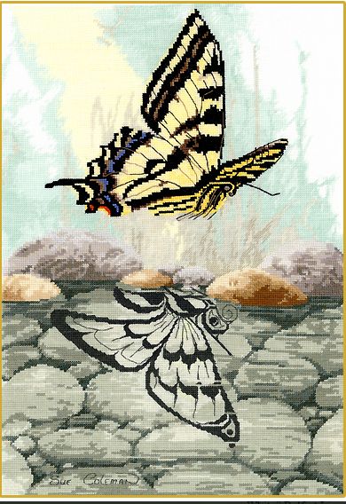 Butterfly Reflection Butterfly Reflection, Haida Art, Native Design, Animal Totems, Indigenous Art, Watercolor Bird, Native Art, Canadian Artists, Native American Art