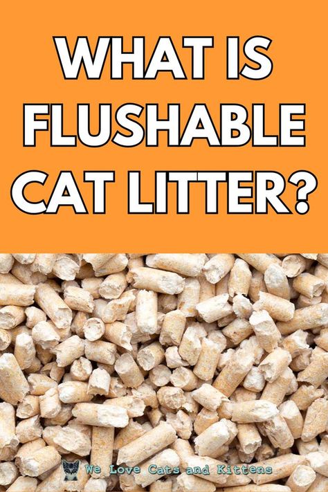 Flushable cat litter brands, also commonly referred to as biodegradable cat litter, is litter that uses different types of non-clay or non-silica materials while naturally breaking down when buried. Read the article for more! Natural Cat Litter, Cat Behavior Facts, Different Types Of Cats, Funny Cat Names, Litter Tracking, Cat Info, Types Of Cats, Kinds Of Cats, Natural Cat