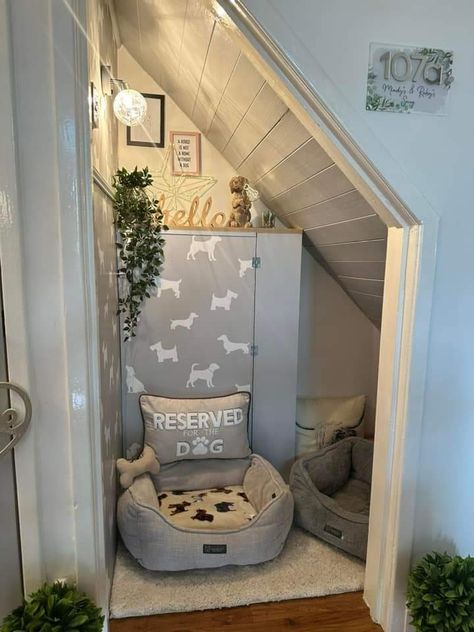 Big Dog Areas In House, Under Stairs Dog House Diy, Dog Bed Area Ideas, Understair Dog Den, Dog Bedroom Ideas Small Spaces, Dog Room Ideas Under Stairs, Under Stairs Dog Kennel, Dog Set Up, Under Stairs Dog Room