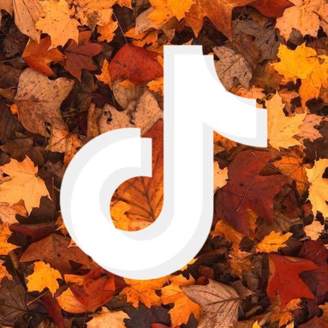 Fall Tiktok Logo, Autumn Iphone Icons, Fall Asthetics, Autumn Widgets, Thanksgiving Icons, Thanksgiving Iphone Wallpaper, Autumn Icons, Thanksgiving Icon, Tiktok App