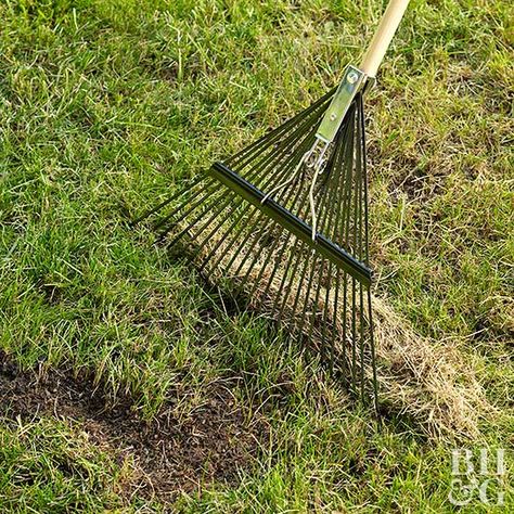 Dethatching Lawn, Lawn Problems, Lawn Repair, Asphalt Repair, Spring Lawn Care, Grass Species, Planting Grass, Lawn Care Business, Diy Lawn