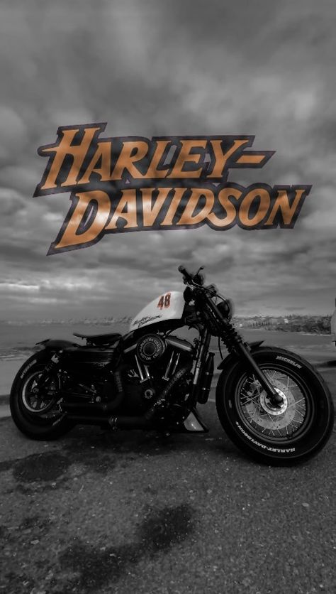 Harley Davidson Sportster Custom Motorcycle 48 Roadking Harley Davidson, Harley Davidson Aesthetic, Harley Sportster 48, Types Of Motorcycles, Harley Davidson 48, Sportster Custom, Sportster 48, Harley Davidson Wallpaper, Custom Sportster