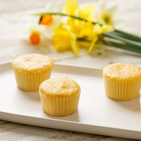 Einkorn Lemon Cupcakes Recipe | Jovial Foods Lemon Cupcakes Recipe, Lemon Curd Cupcakes, Lemon Cupcake Recipe, Lemonade Cake, Lemon Cupcake, Einkorn Flour, Lemon Cupcakes, Cupcake Recipe, Cupcakes Recipe