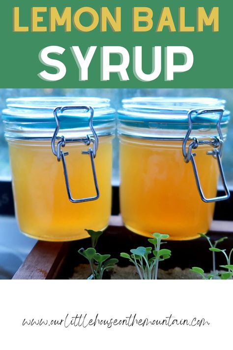 Lemon Balm Syrup Lemon Balm Uses, Lemon Balm Recipes, Homemade Cough Remedies, Garden To Table, Balm Recipe, Herbal Medicine Recipes, Herbal Remedies Recipes, Medicinal Herbs Garden, Herb Recipes