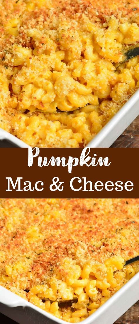 Thanksgiving Mac And Cheese, Pumpkin Pasta Recipe, Pumpkin Casserole, Pumpkin Recipes Dinner, Fall Pasta, Pumpkin Mac And Cheese, Pumpkin Recipes Healthy, Savory Pumpkin Recipes, Pumpkin Pasta