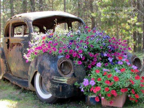 Old car - new flowers Truck With Flowers, Car Garden, Pick Up Truck, Flower Truck, Old Truck, Garden Junk, Farm Trucks, Truck Art, Vintage Trucks