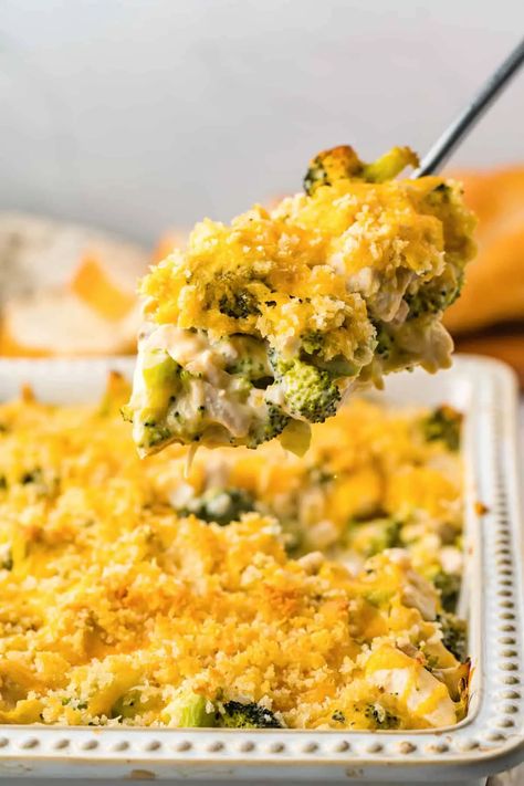 Chicken Divan Casserole, Chicken Divan Recipe, Creamy White Sauce, Broccoli Dishes, Chicken Divan, Hearty Chicken, Cheesy Casserole, Steamed Broccoli, White Sauce