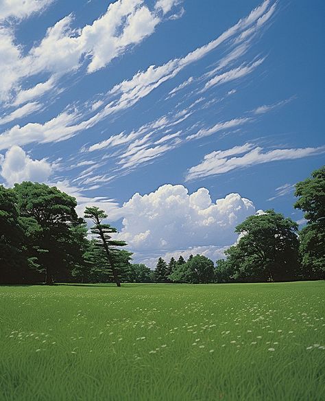 the clouds and clouds of a grassy field Background Field Background, Cloud Tree, Grass Background, Grassy Field, Wallpaper Photos, Ad Background, Wallpaper Image, Tree Wallpaper, Beautiful Landscape Wallpaper