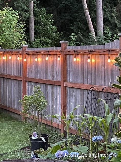 How to Hang Outdoor String Lights: The Ultimate Guide - Jessica Welling Interiors Hanging Patio Lights, Backyard String Lights, Outdoor String Lights Patio, Patio Lights, Patio String Lights, Outdoor String Lights, Fence Lighting, Backyard Lighting, Fence Decor