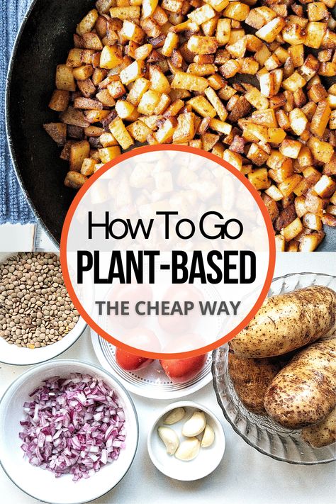 Plant Based And Vegan Recipes, Plant Based Diet For Beginners Recipes, Cheap Plant Based Meals Budget, Plant Based Diet On A Budget, Plant Based Whole Food Recipes Simple, How To Eat Plant Based Diet, How To Go Plant Based, Plant Based Easy Recipes, Plant Based Recipes On A Budget