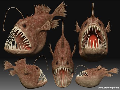 Angler Fish Reference, Fish With Light On Head, Ocean Fish Photography, Deep Ocean Fish, Angler Fish Photography, Creepy Fish, Angler Fish Art, Ocean Abyss, Big Eyed Fish