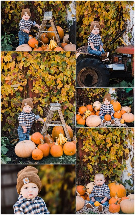 Baby Pumpkin Pictures, Fall Baby Photos, Baby Picture Ideas, Fall Baby Pictures, 6 Month Baby Picture Ideas, Baby Milestones Pictures, Pumpkin Pictures, Baby Photoshoot Boy