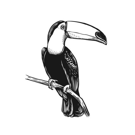 Bird Line Art, Tattoos Gothic, Toucan Illustration, Cupid Tattoo, Abstract Tattoo Ideas, Toucan Art, Traditional Tattoo Inspiration, Gorilla Tattoo, Grunge Tattoo