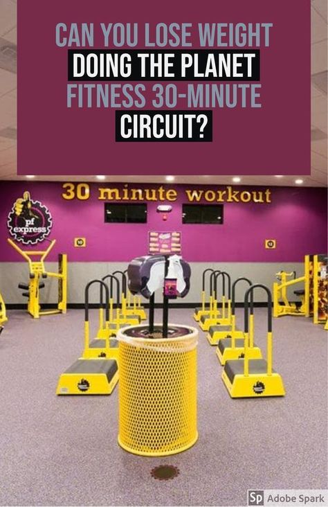 Workouts For Planet Fitness Gym, Planet Fitness Circuit Workout, Beginner Planet Fitness Workout, Planet Fitness Workout Plan For Women Losing Weight, Planet Fitness Workout Plan Machines, Planet Fitness 30 Minute Circuit, Planet Fitness Workout Plan For Women, Planet Fitness Routine, Planet Fitness Machines