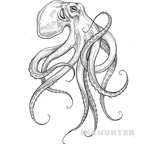 Octopus Flash Tattoo, Octopus Drawing, Lion Sketch, Octopus Tattoo Design, Petit Tattoo, Octopus Tattoos, Octopus Design, Octopus Tattoo, Octopus Art