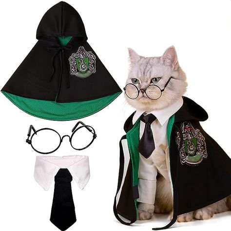 Harry Potter Cat Costume #harrypottercat #catcostume #halloweencat Costume Dinosaure, Pet Magic, Pet Event, Pet Costumes Cat, Chat Halloween, Cat Halloween Costume, Pet Halloween Costumes, Fantasias Halloween, Cat Halloween