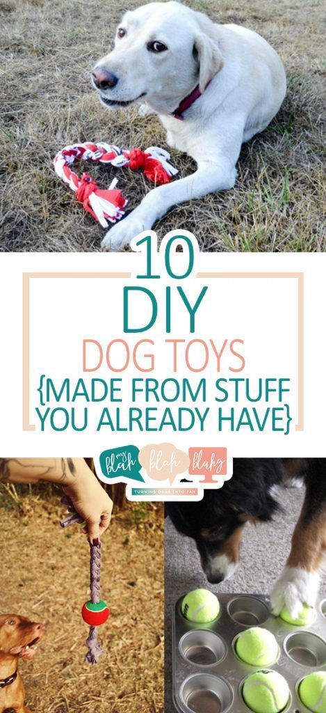 10 DIY Dog Toys {Made From Stuff You Already Have} •