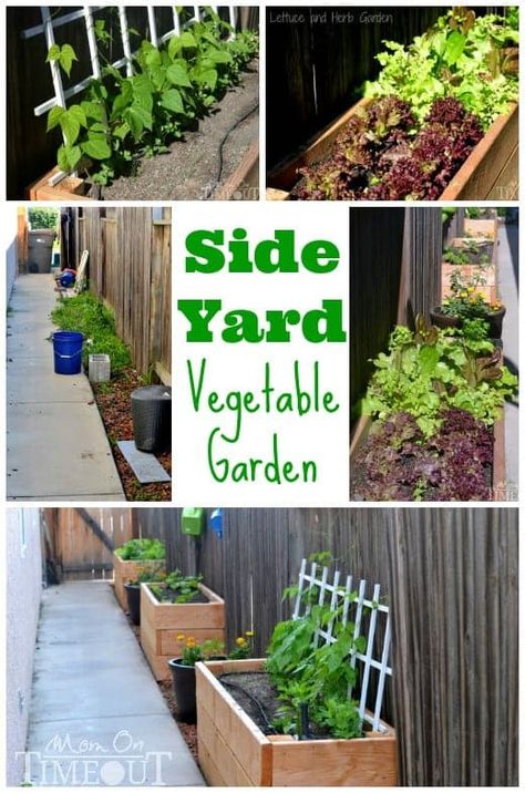 Transform your side yard into a Side Yard Vegetable Garden and turn wasted space into a lush, green produce producing area! Side Yard Vegetable Garden, Diy Planter Boxes, Yard Vegetable Garden, Kebun Herbal, Taman Diy, Raised Vegetable Gardens, Vegetable Plants, Vertical Vegetable Garden, Diy Planter