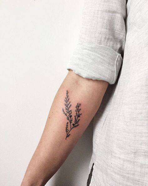 Juniper sprig for Julie. Thank you so much! Great chatting with you & other Julie ✨ Pretty Flower Tattoos, Julia Stone, Tattoo Placements, Geniale Tattoos, Delicate Tattoo, Japanese Sleeve, Phoenix Tattoo, Nature Tattoos, Small Tattoo